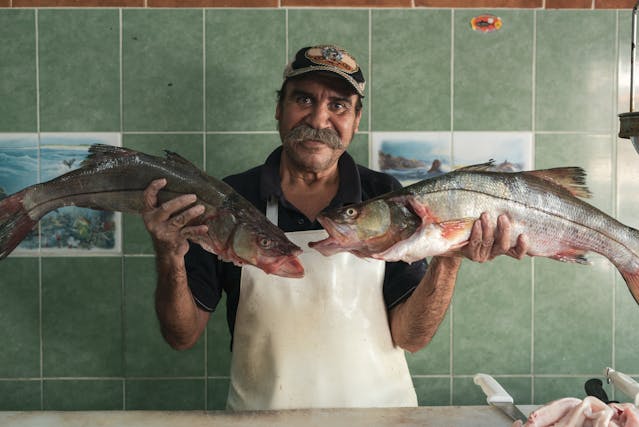 Coisas que Precisa Saber Antes de Comprar Um Peixe